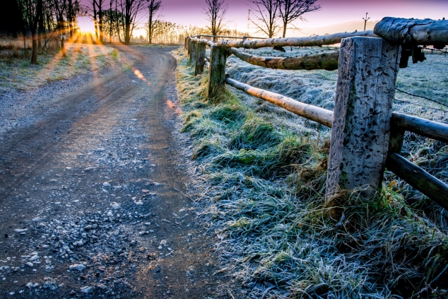 frozen road by Milan Jurek
