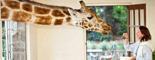 Giraffe Manor - Nairobi, Kenya