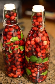 Homemade cranberry lime vodka