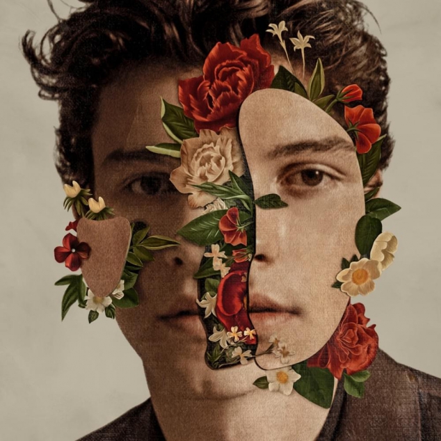 'In My Blood' by Shawn Mendes