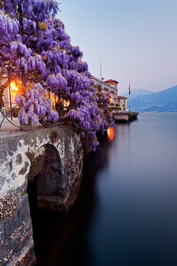 Italian Colour