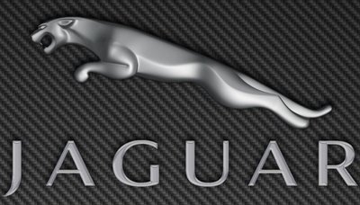 Jaguar Bike  - Image 3
