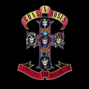 Guns and Roses