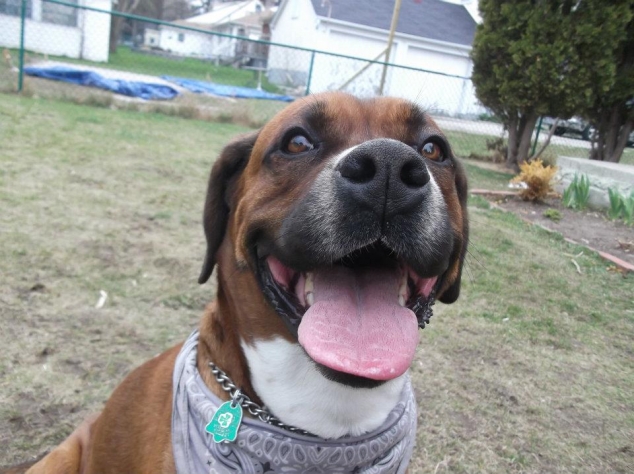 *My Dog Ripto :)