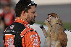 Tony Stewart