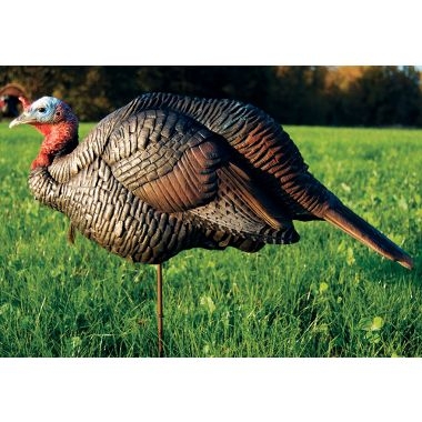 DSD turkey decoys