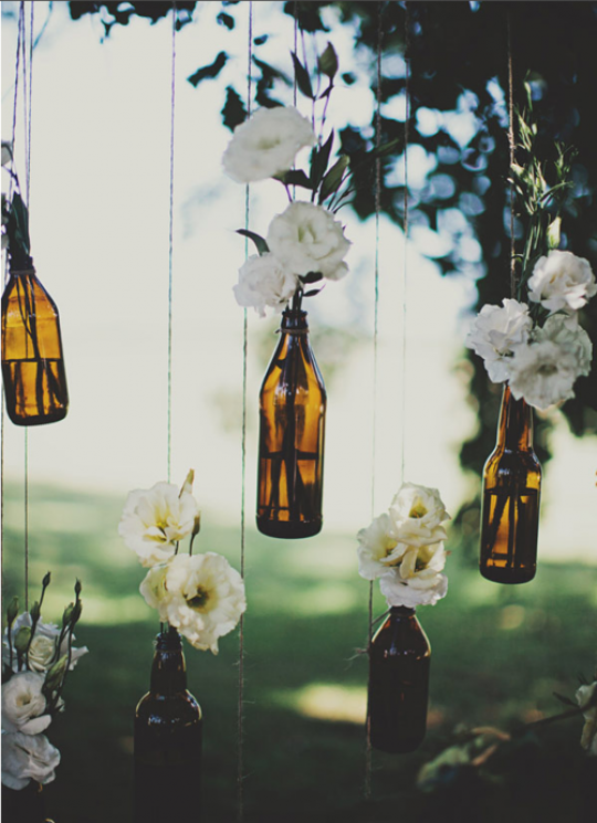 Beer bottle vases hanging from tree