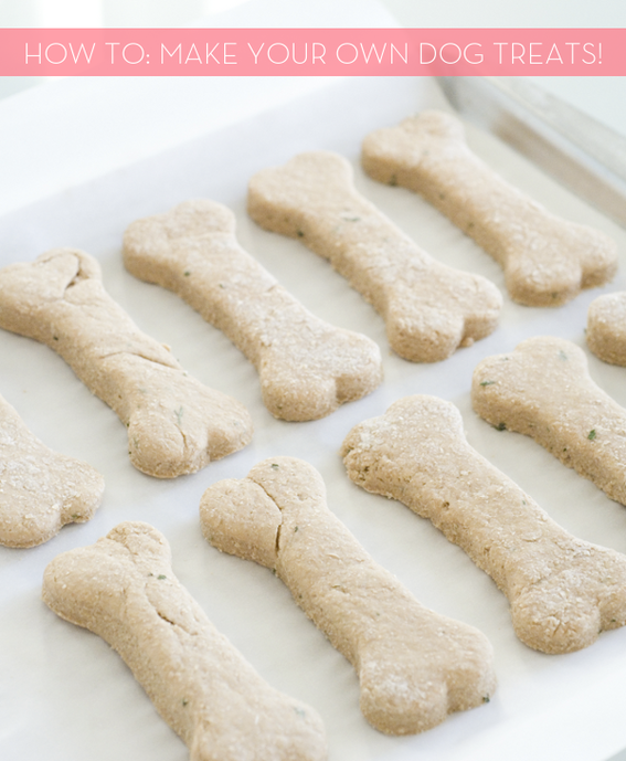 Make Your Own Dog Treats