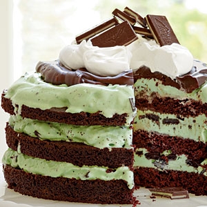 Mint Chocolate Chip Ice-Cream Cake