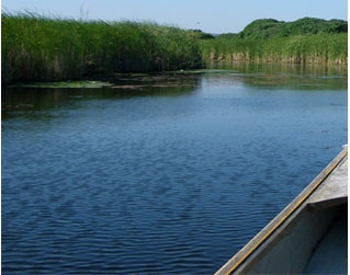 Wye Marsh