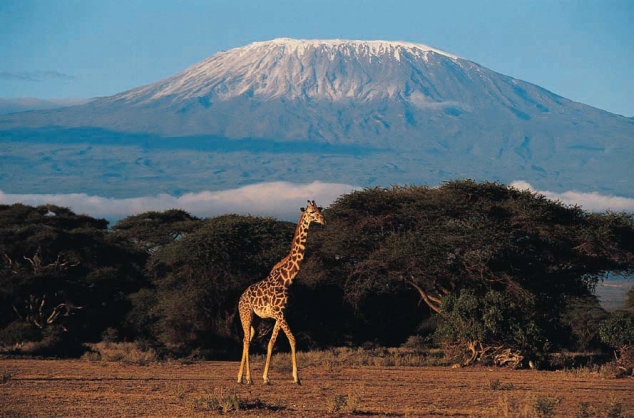 Mount Kilimanjaro in Kilimanjaro National Park, Tanzania, Africa