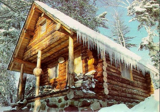 Small Log Cabin in the Woods - FaveThing.com
