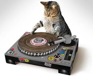 Cat Turntable