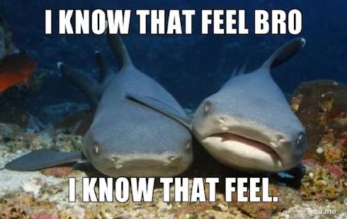 I know that feel bro :p