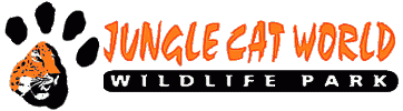 Jungle Cat World Ontario
