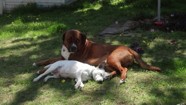 *Best Friends <3 