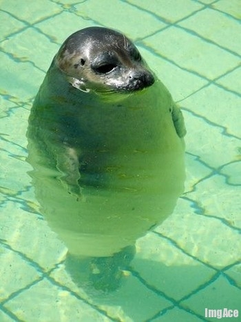 Just Chillin'