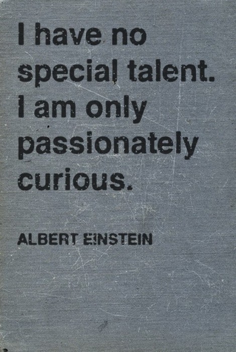 "I have no special talent. I am only passionately curious." ~ Albert Einstein