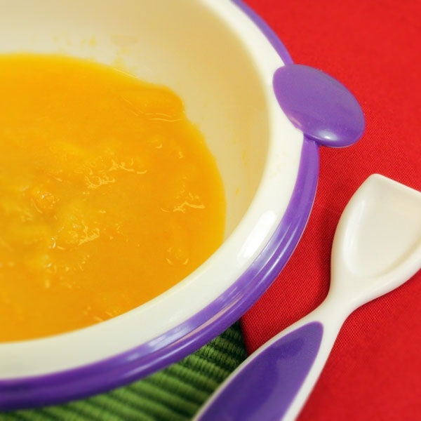 Make Your Own Baby Food - Image 2