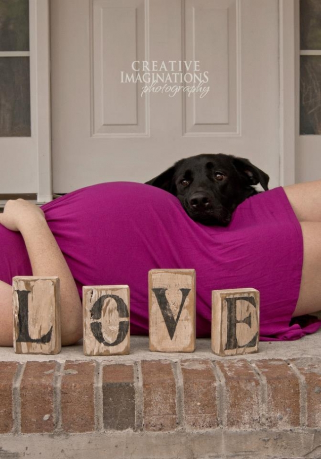 Maternity photo with dog