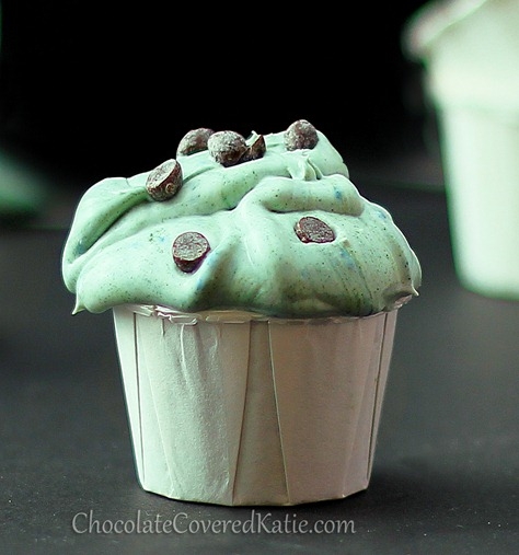 Mint Chocolate Chip Frosting Shots