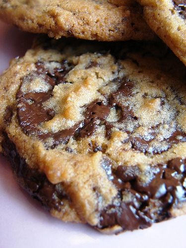 My Favourite Chocolate Chip Cookie