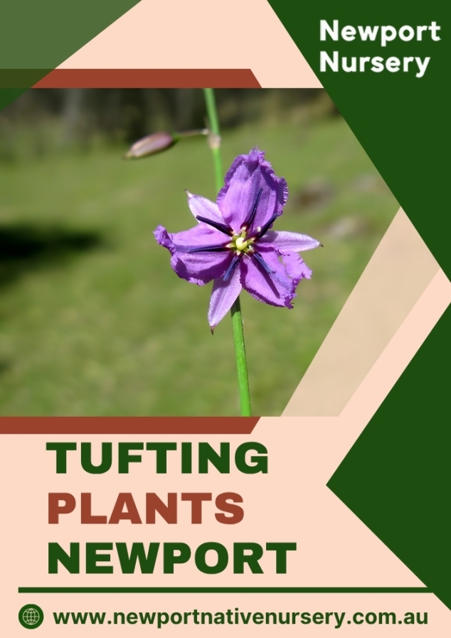 Newport Native Nursery
