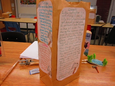 Paper Bag Characterization  - Image 2