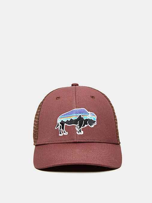 Patagonia Fitz Roy Bison Low Profile Trucker Hat