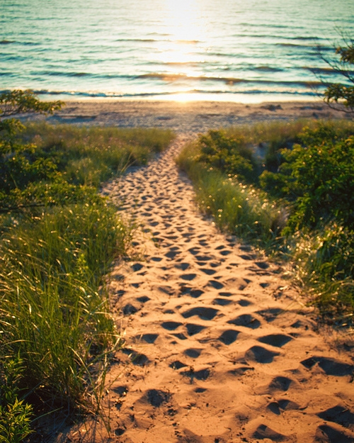 Path to the shore