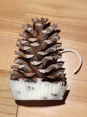 Pine Cone Fire Starters - Image 3