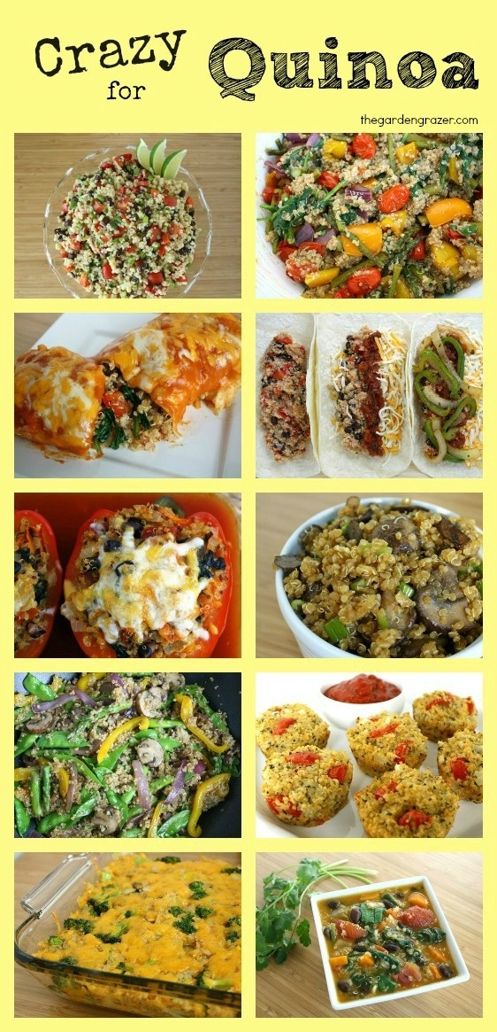 Quinoa Recipes