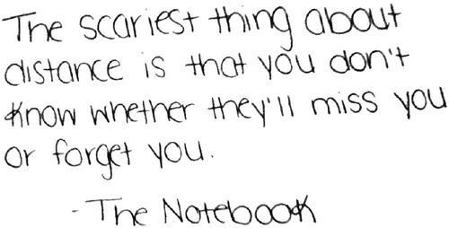 Quote from The Notebook