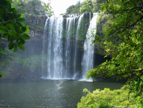 Rainbow Falls, Kerikeri, Northland, New Zealand