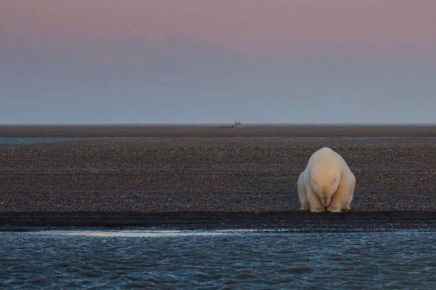 Shots show the impact of climate change