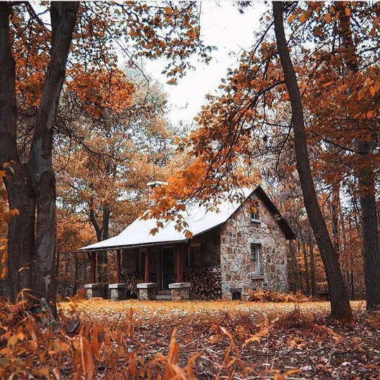 Stone Cabin in the Woods