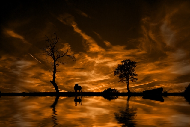 Sunset Silhouettes by Evans Lazar