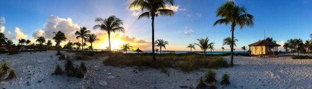 Sunshine Panorama by Eliza Pope
