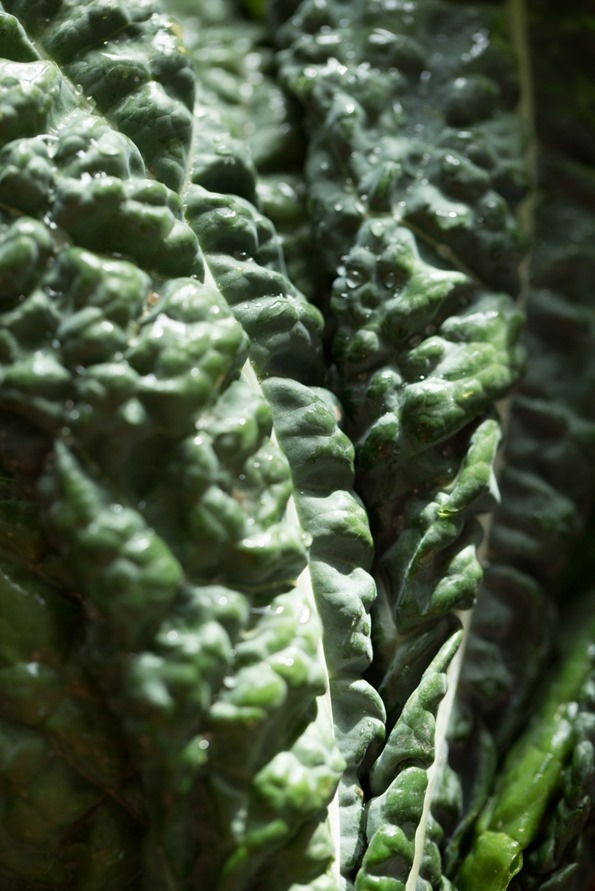 The Best Shredded Kale Salad with Pecan Parmesan and Cranberries - Image 2