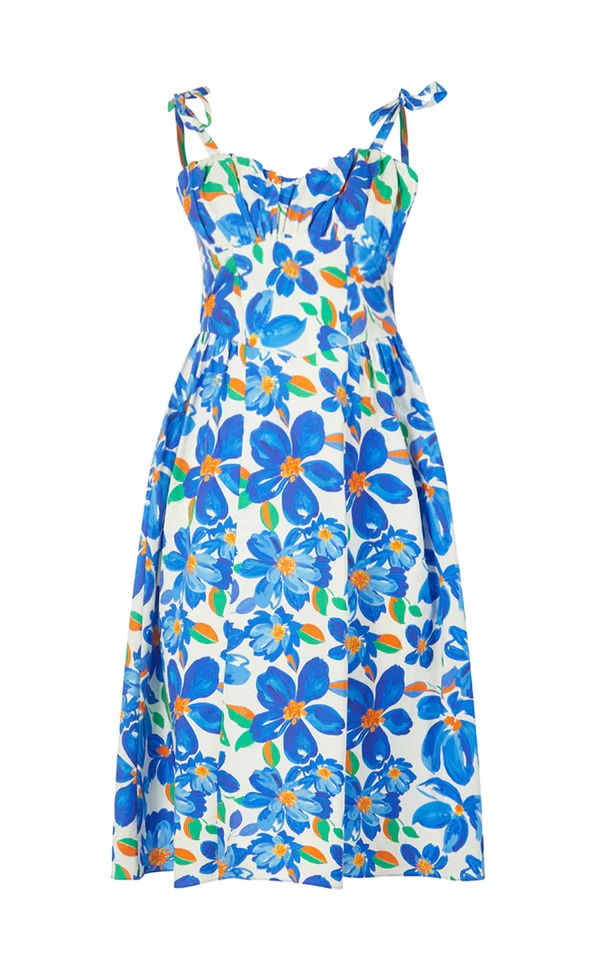 The Rosie Organic Cotton Corset Midi Dress in Blue Painted Floral
