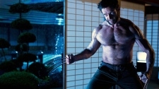 The Wolverine - Image 3