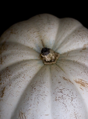 Toasted Pumpkin Seeds  - Image 3
