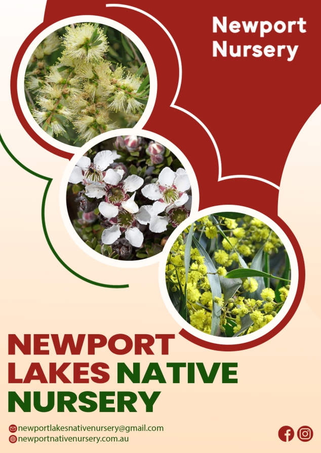 Transform Your Space with Newport Lakes Native Nursery Plants
