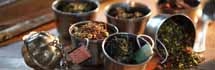 Verismo 580 Brewer - Image 2