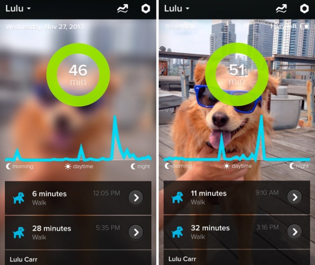 Whistle - the dog activity monitor