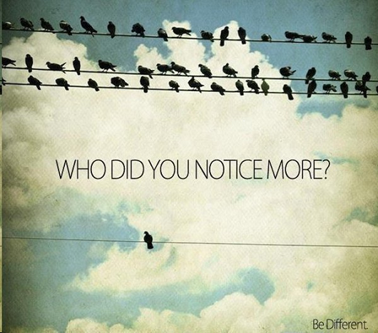 Who did you notice more?