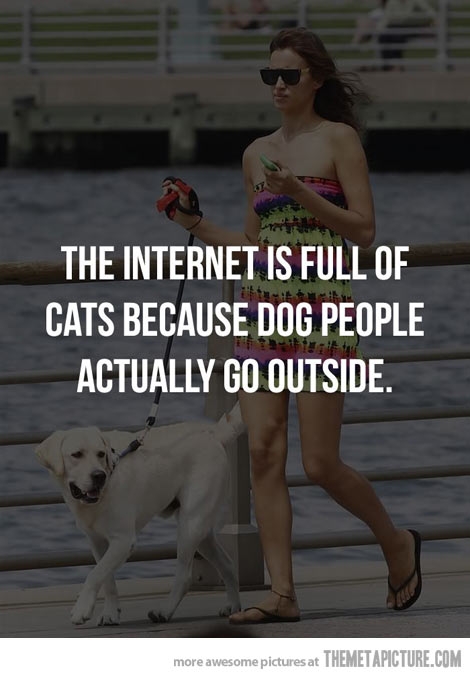 Why the internet is full of cats…