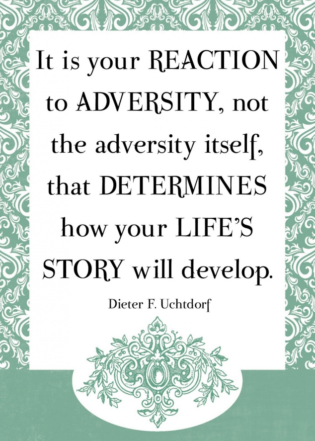 Your Reaction To Adversity