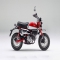 2019 Honda Monkey motorbike