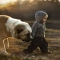 a boy & his dog